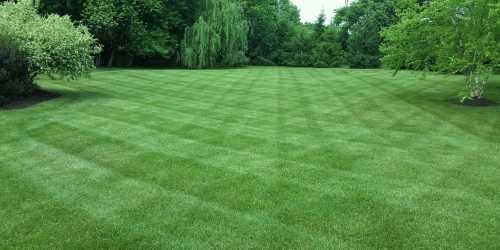 Lawn Care, Lawn Aeration, Aeration Service, Free Estimate Lawn Care, Lawn Aeration, Aeration Service, Free Estimate