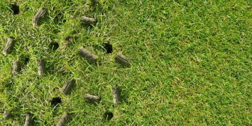 Lawn Care, Lawn Aeration, Aeration Service, Free Estimate