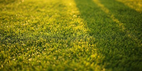 Lawn Care, Lawn Aeration, Aeration Service, Free Estimate Lawn Care, Lawn Aeration, Aeration Service, Free Estimate