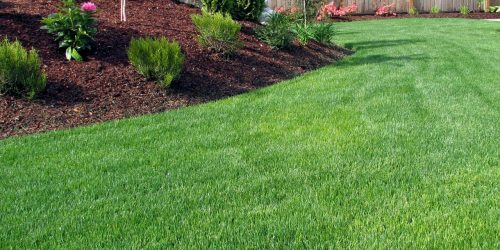 Lawn Care, Lawn Aeration, Aeration Service, Free Estimate Lawn Care, Lawn Aeration, Aeration Service, Free Estimate